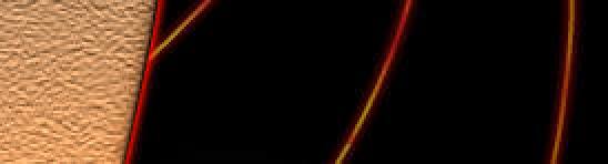 gallery/artworks-images-gallery_C10_R7